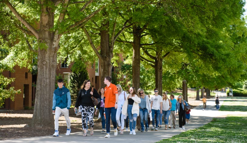 Student tour guide leads a tour group through campus, walking a tree-lined path.