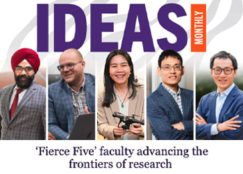 IDEAS August 2025 Preview
