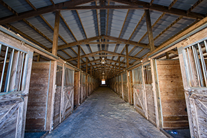 barn hall with stalls