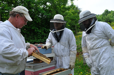 Beekeeper opening a hive and showing two other beekeepers