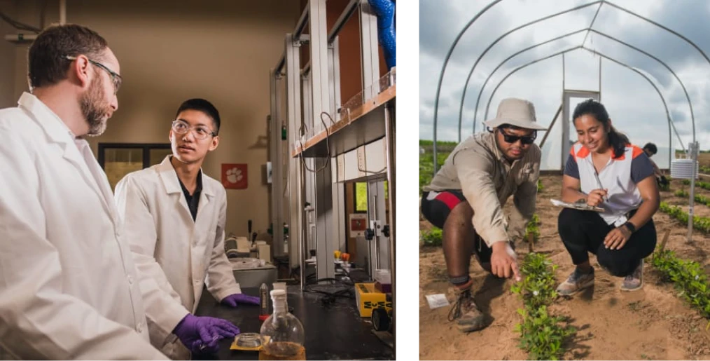 A composite image one of Two undergraduate students examine plants and take notes in a greenhouse, another a Faculty advisor and male student work together in a science lab.