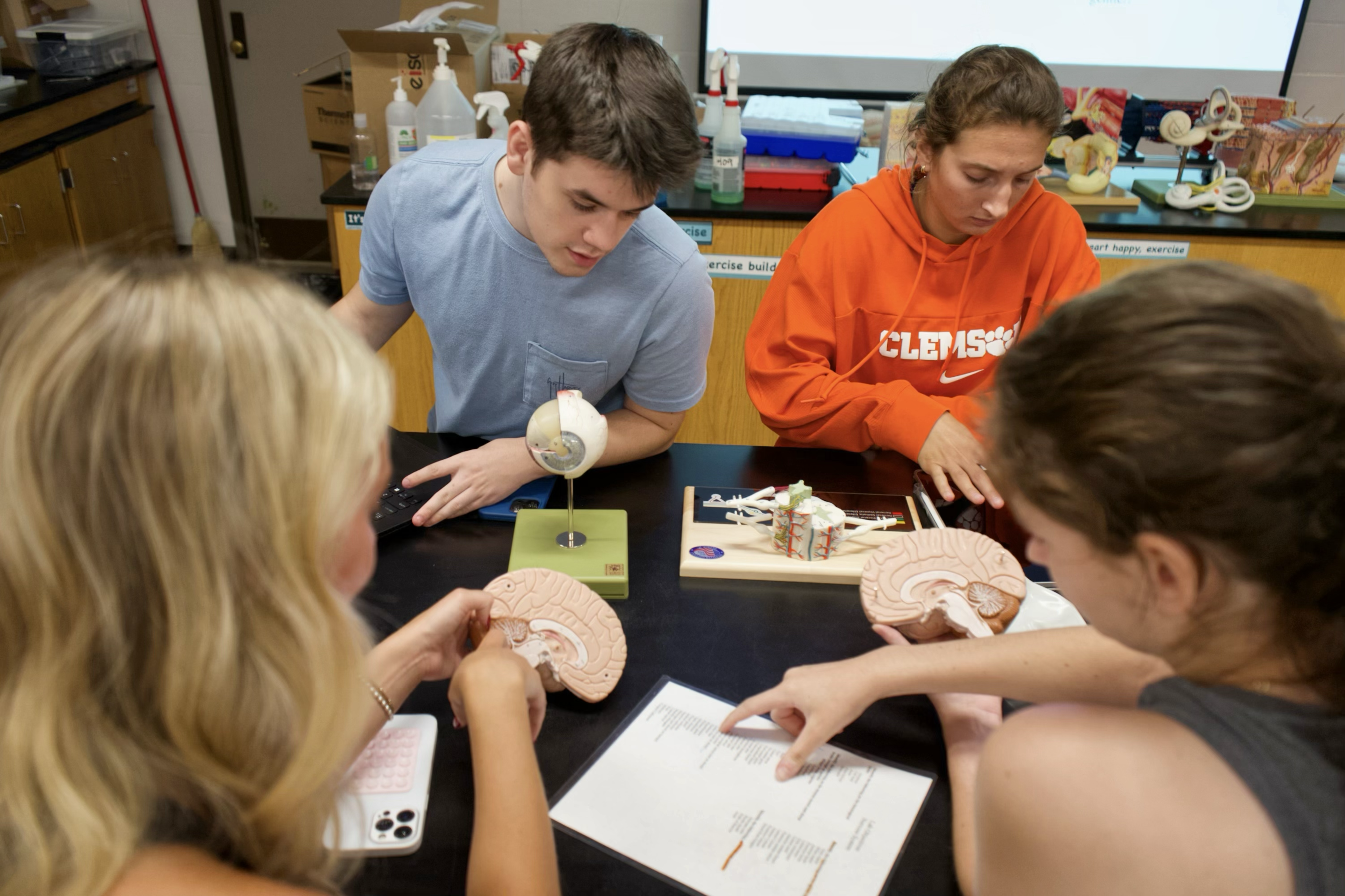 Students participating in an anatomy lab course