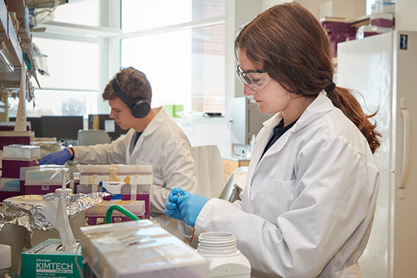 Students in the lab