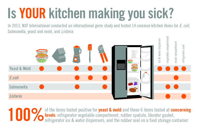 Infographic shows germs on common kitchen items that can harm health. 