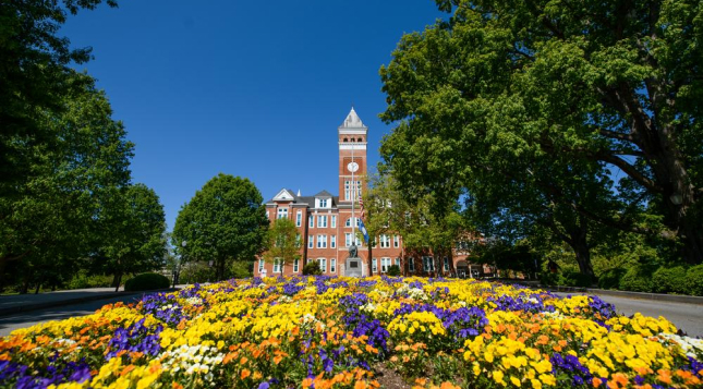 Colorful flowers bloom in the bed in front of Tillman Hall