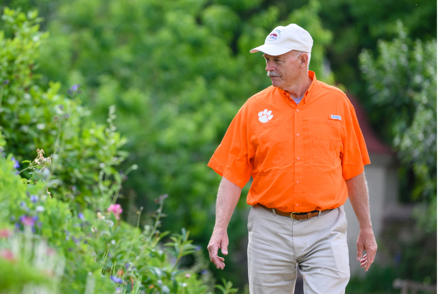 Dean Norton walks along a hedge he oversees as director of horticulture and livestock at Mount Vernon