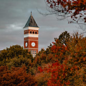 A wall of trees with the leaves varying shades of fall colored leaves in front of Tillman Hall.