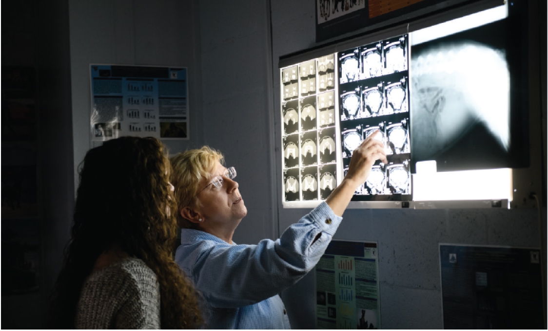 A professor and a student examine x-rays in a dimly lit lab.