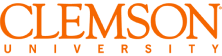 University Wordmark in Orange