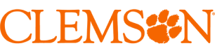 Clemson Word Mark in all orange