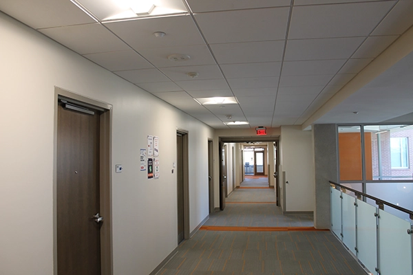 A well-lit hallway featuring doors on either side, leading to various rooms in a modern building. The flooring is carpeted with orange accents.