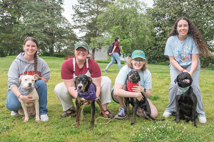 4 students with dogs wearing bandanas