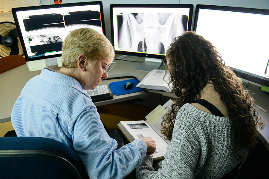 student working with an advisor