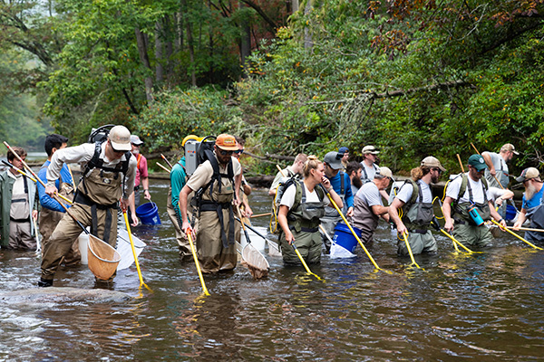 Chattanooga electrofishing