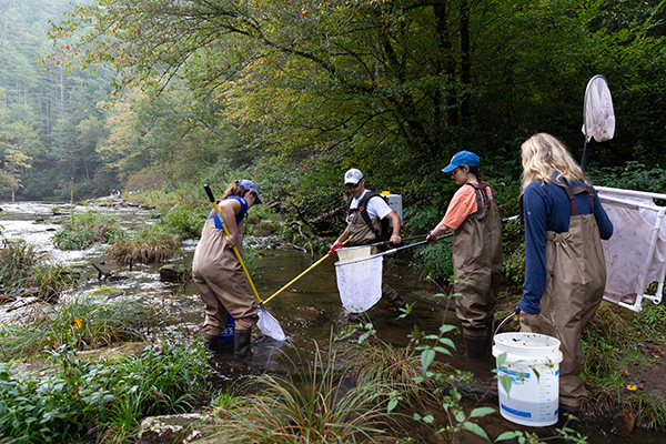 students sampling a river