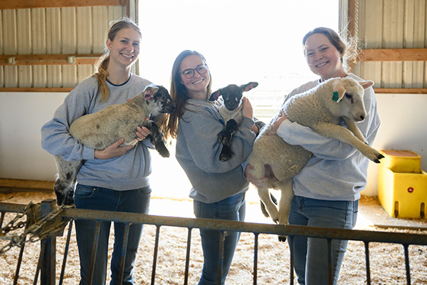 student holding sheep