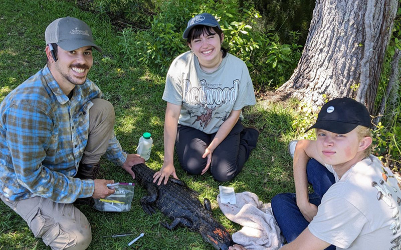 students sitting in a field holding down a crocodile