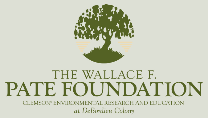 pate foundation logo