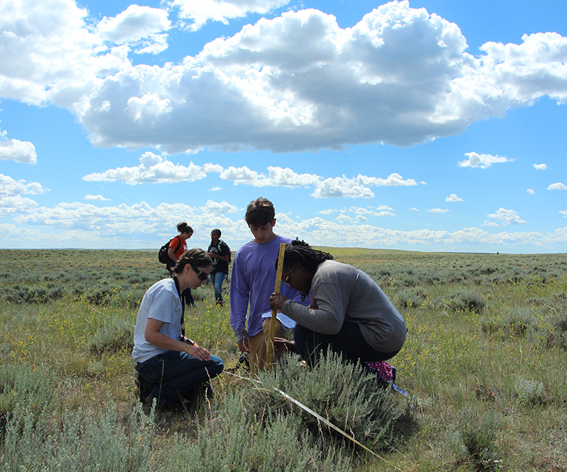 Clemson students working in open field