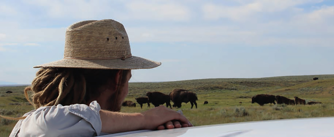 a man looking into a field