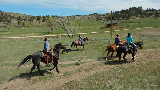 wildlife students on horseback running through a field