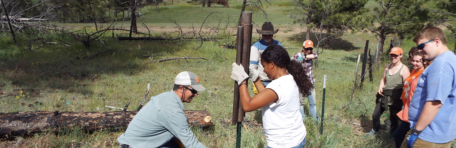 Student working on a fence in forest