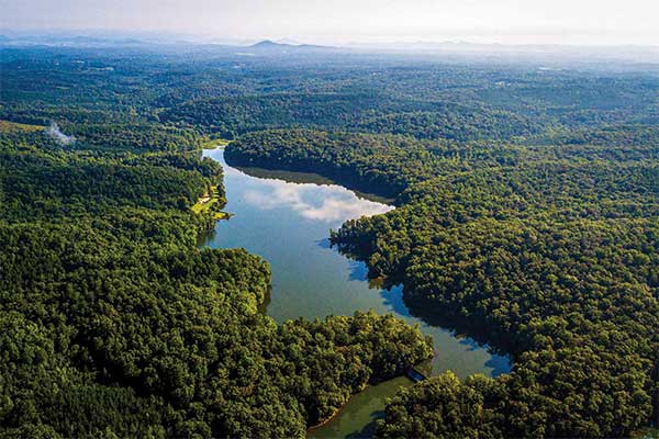 Aerial view of the Clemson Experimental Forest