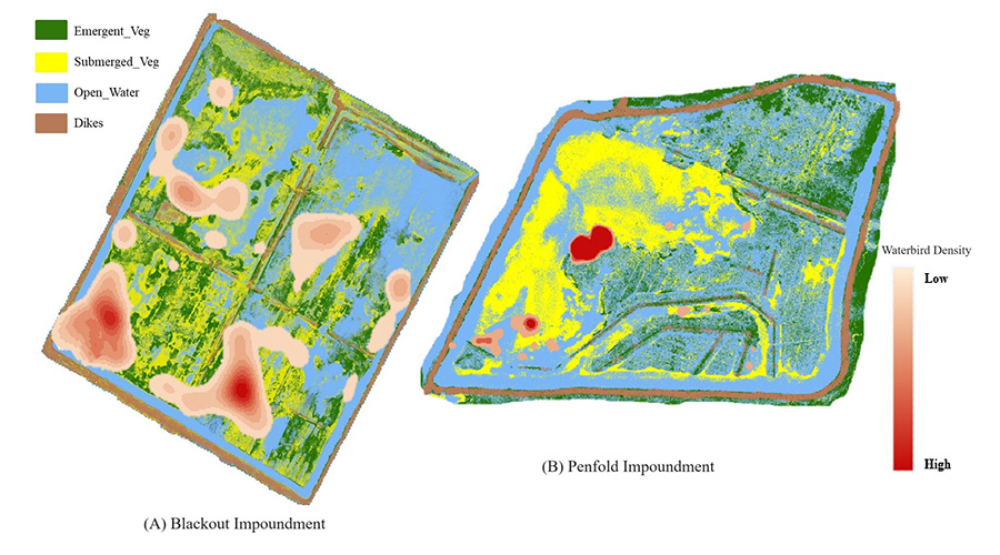 density map of waterfowl