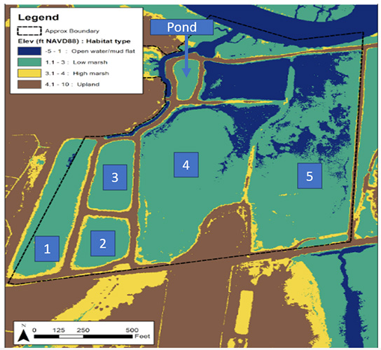 oyster map of marsh