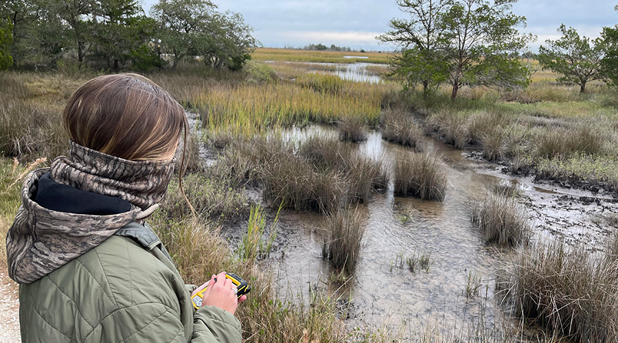 researcher collecting measurements near a marsh