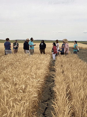 students in a wheat field