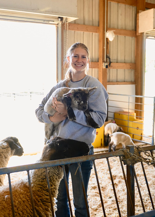 Student holding a baby sheep in a barn on clemson campus