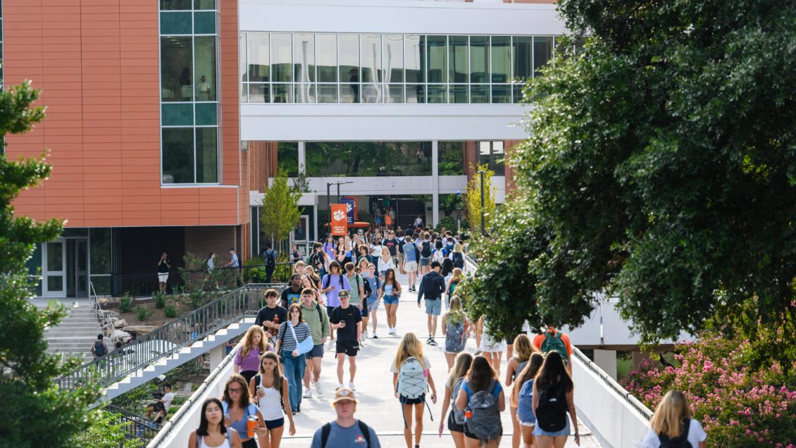 Library bridge