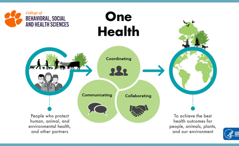 diagram depicting the stages of One Health