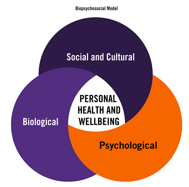 bubble diagram with mental health in the middle and other issues contributing to mental health surrounding it.