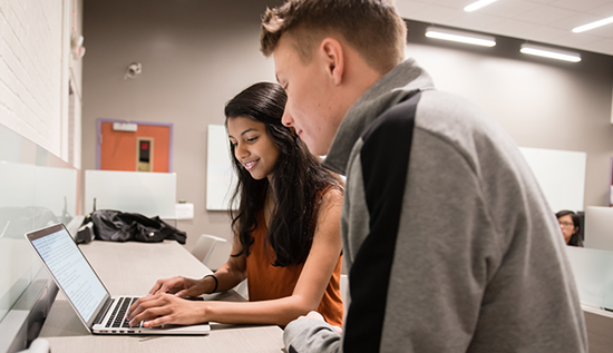 Two students working together in a computer lab using a computer for their work.