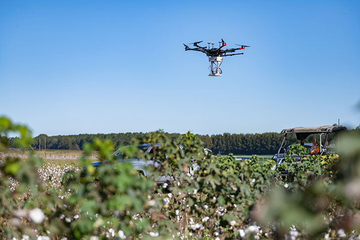 Drone above agricultural field