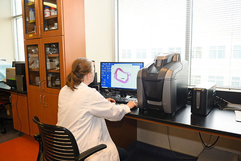 Student in lab using computer for data