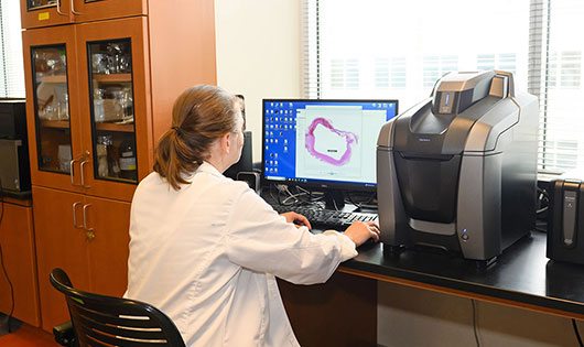 Student at computer in Greenville