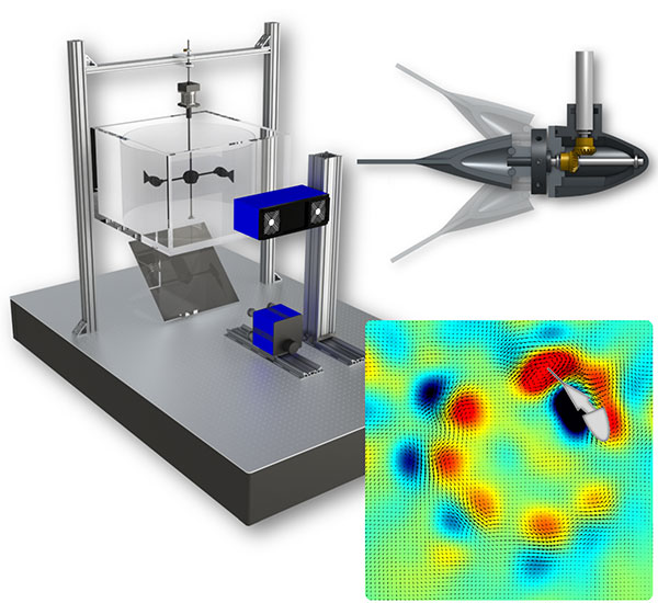 Robotic fish experimental setup