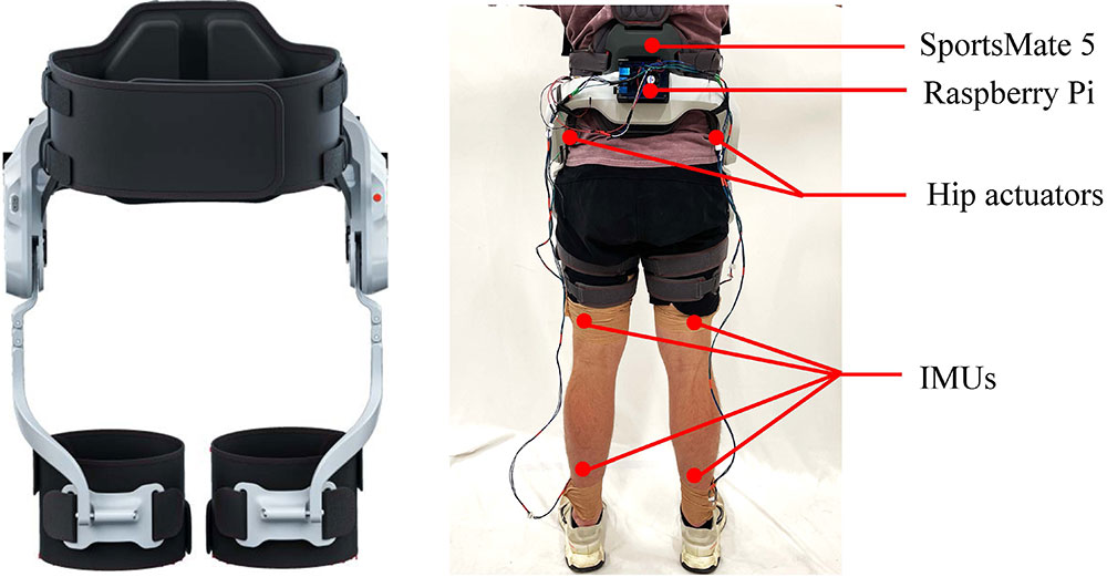 Sportmate 5 modeled on subject's back and hip area.
