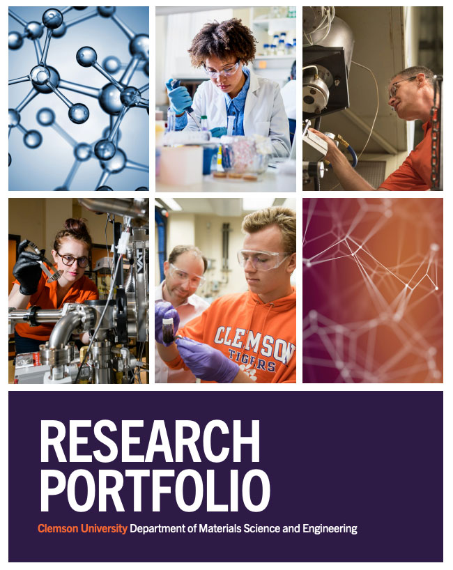 Cover of MSE Research Portfolio