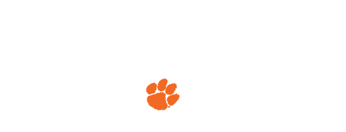 Spark Challenge Logo