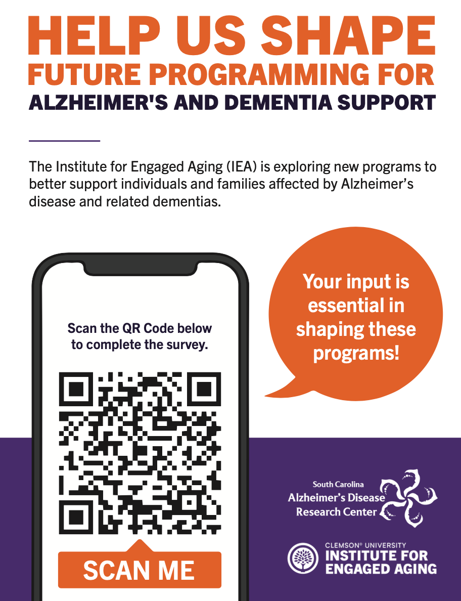 IEA Support Programs