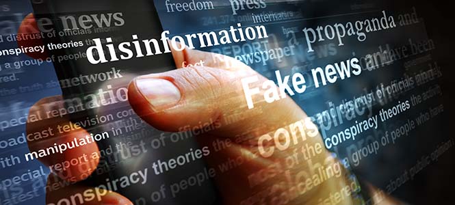 Disinformation