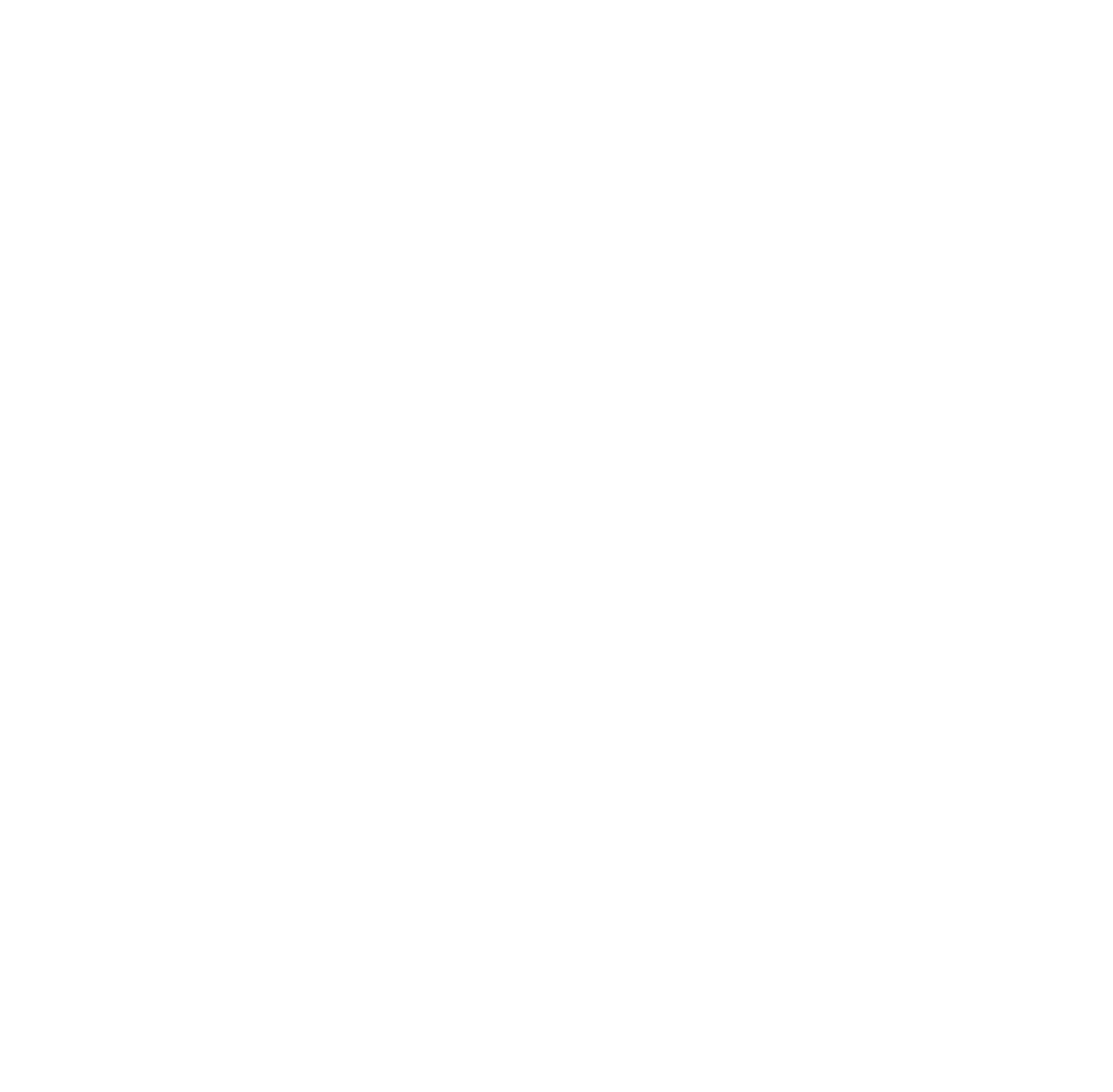 White CI Logo