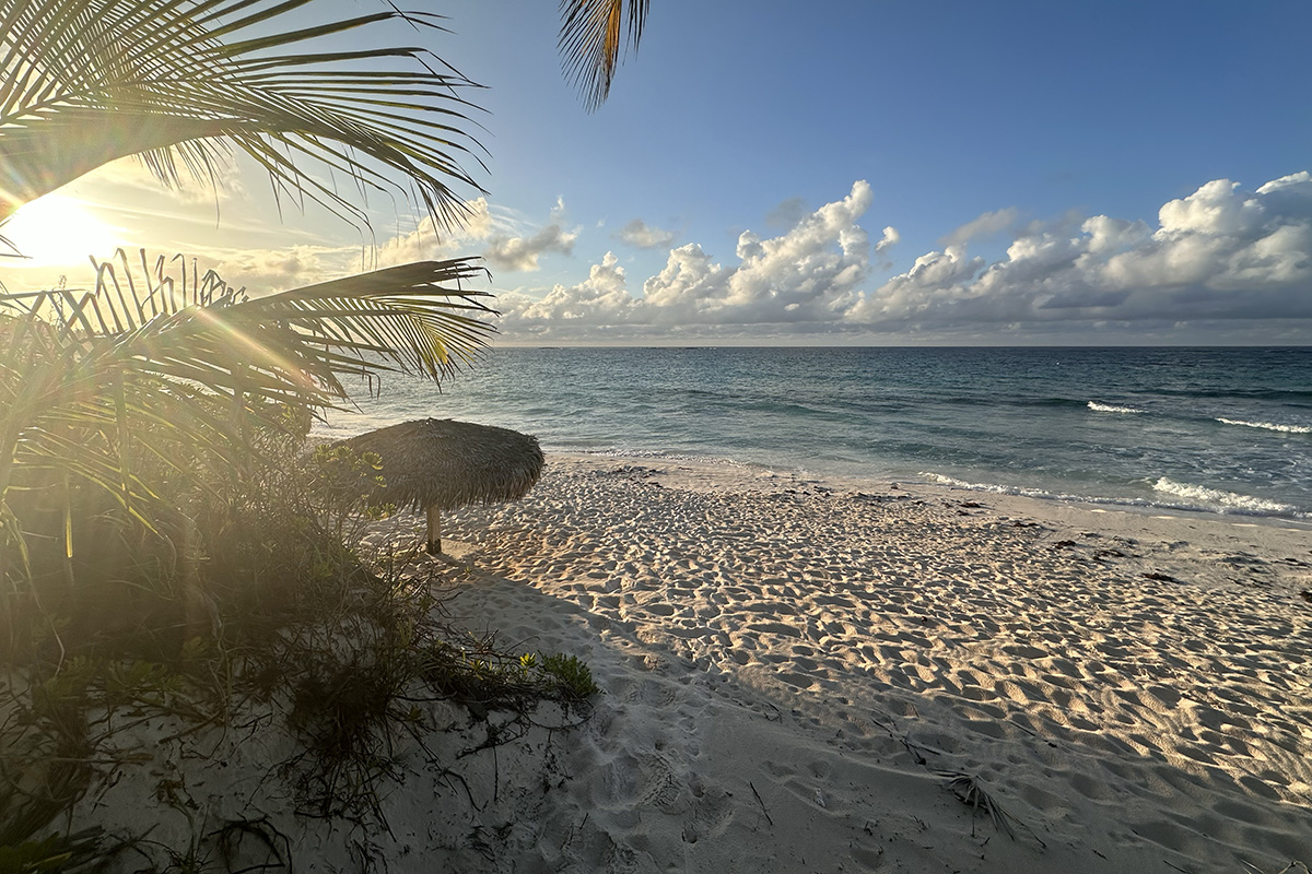 A serene beach view at sunset with gentle waves, palm fronds, and a thatched umbrella providing shade.