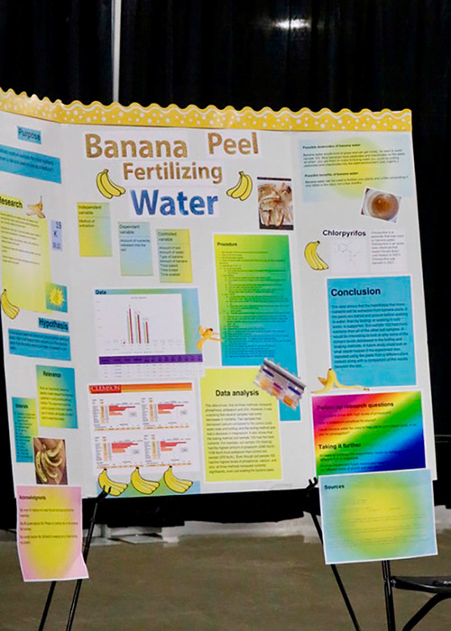 Banana peel fertilizing poster