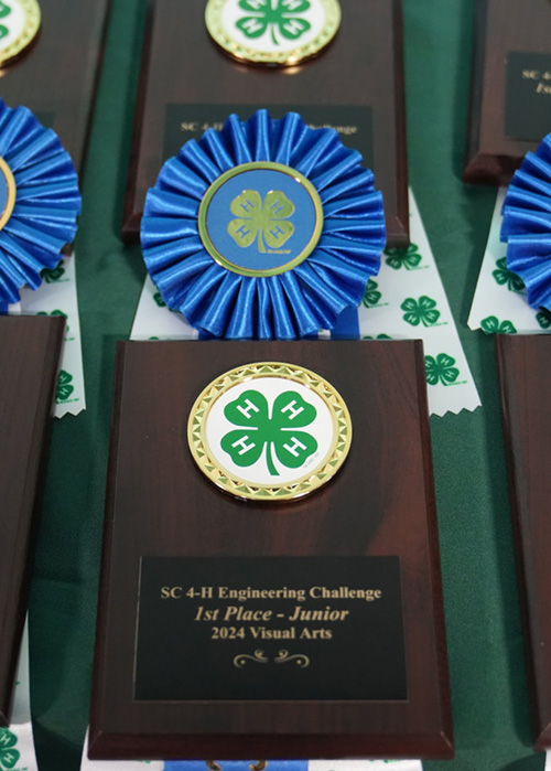 4h award