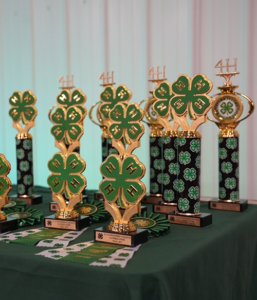 collection of 4h trophies on a table